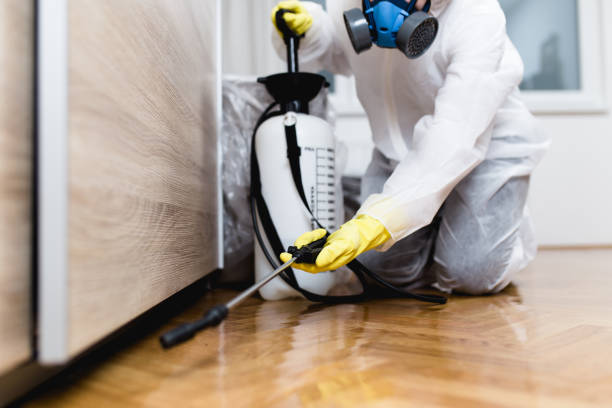 Best Cockroach Control Services  in Kendall West, FL