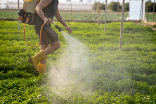 Best Affordable Pest Control Services  in Kendall West, FL