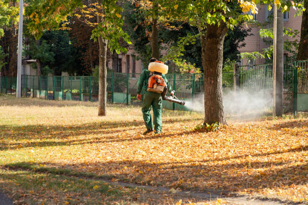 Best Best Pest Control Companies  in Kendall West, FL