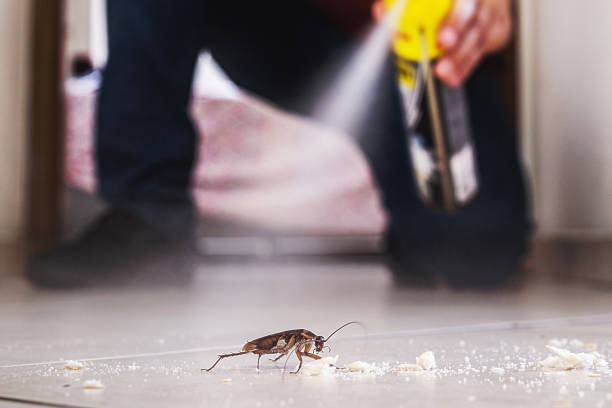 Best Residential Pest Control  in Kendall West, FL